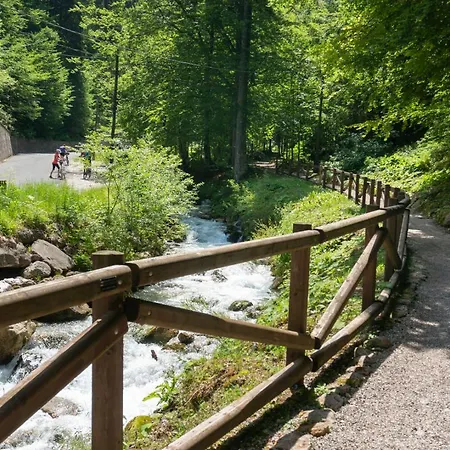 Appartement Stylish 2-bed Top-floor In Kranjska Gora